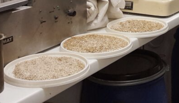 Crushed malt on lit