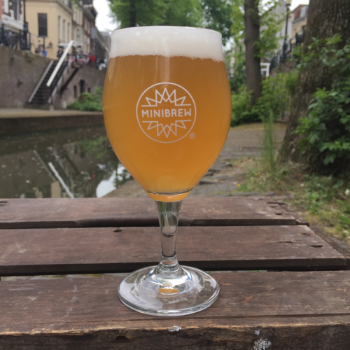 Minibrew Glass