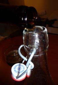 yeast grow culture 4