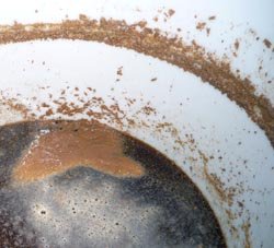 yeast culture grow 3