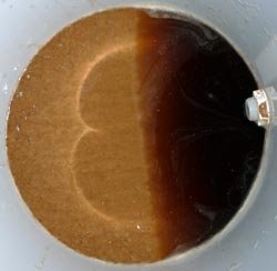 yeast grow culture