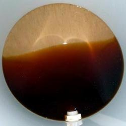 yeast culture grow