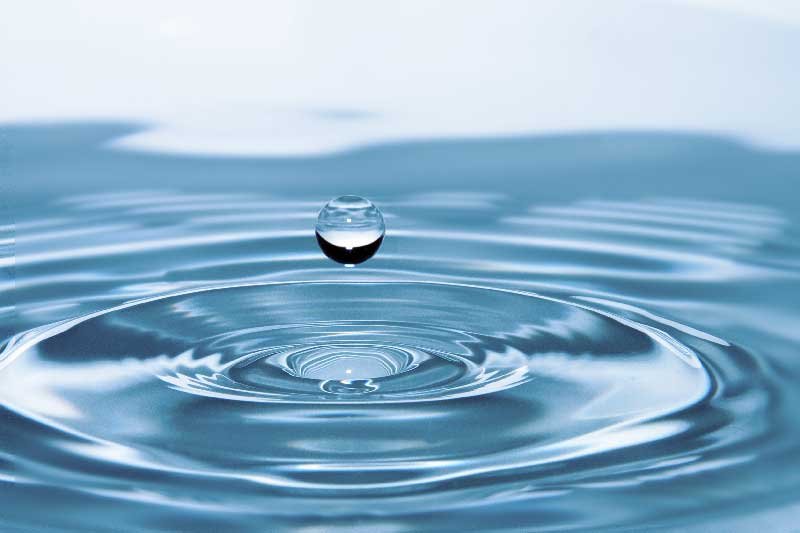 water ingredient beer